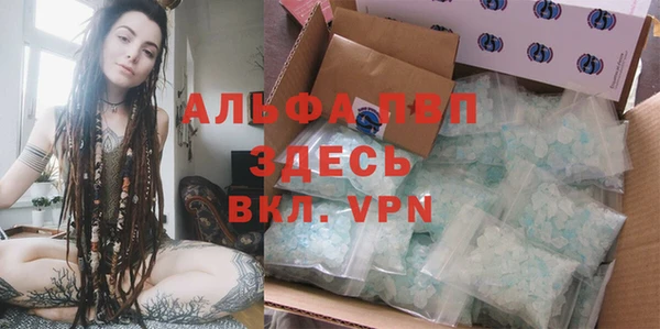 ГАЛЛЮЦИНОГЕННЫЕ ГРИБЫ Лихославль
