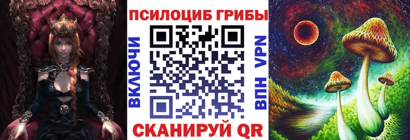 Псилоцибиновые грибы Psilocybe  блэк спрут   Можга 