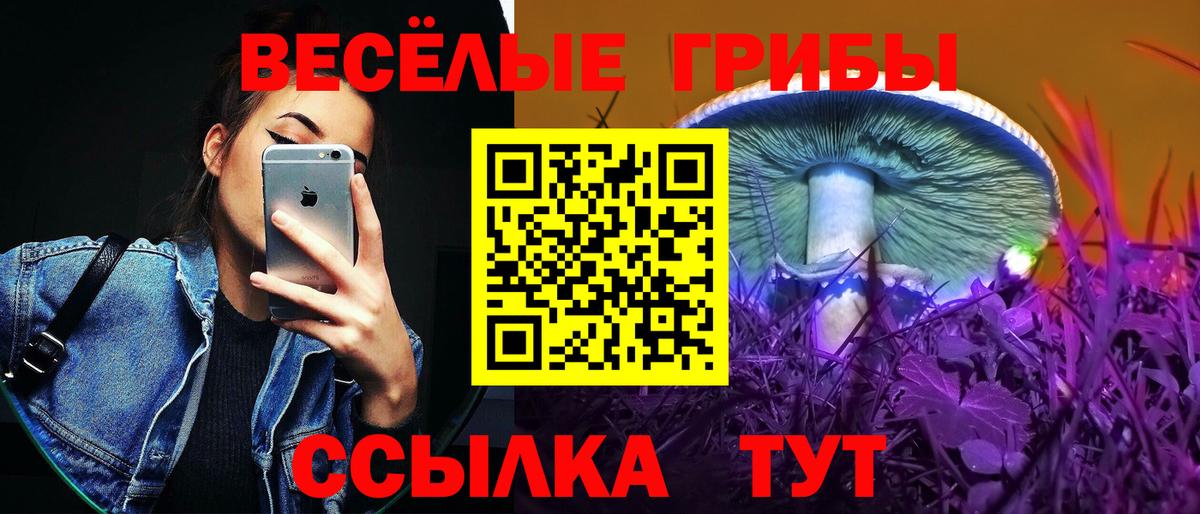 Галлюциногенные грибы MAGIC MUSHROOMS  Вход с VPN  Можга  Псилоцибиновые грибы Magic Shrooms 